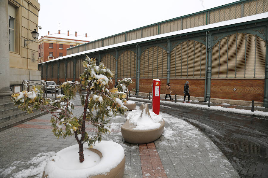 Fotos: La capital palentina se tiñe de blanco II
