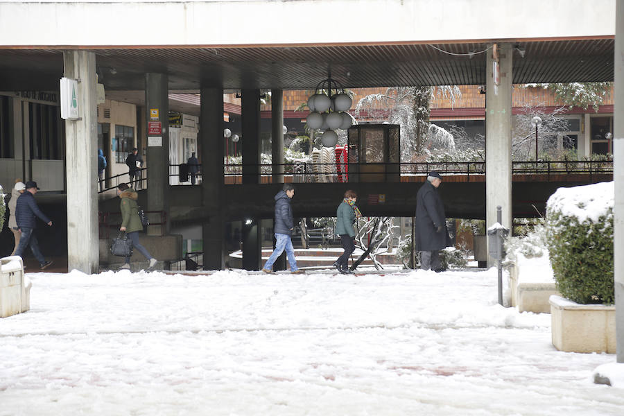 Fotos: La capital palentina se tiñe de blanco II