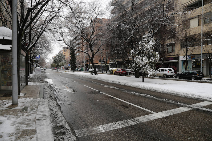 Fotos: La capital palentina se tiñe de blanco II