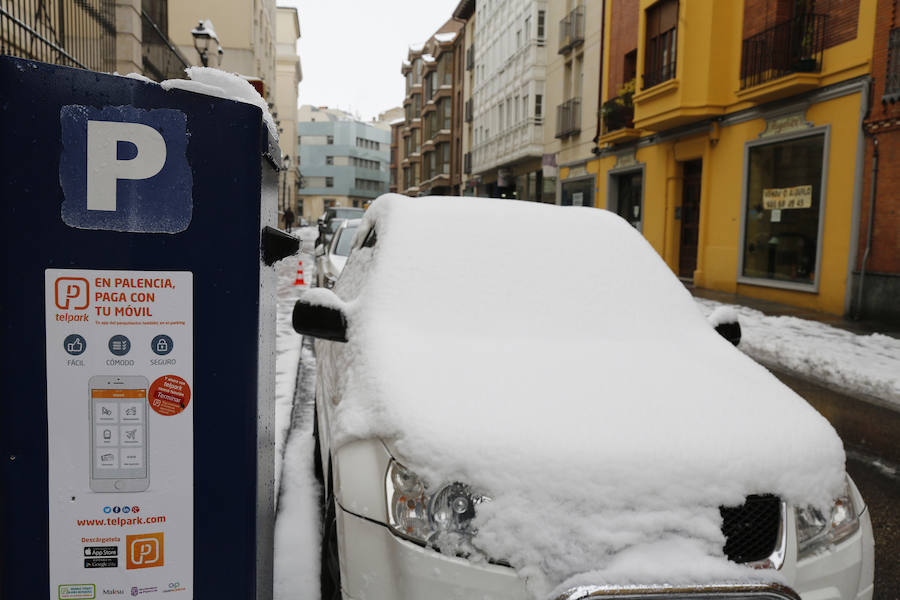 Fotos: La capital palentina se tiñe de blanco II
