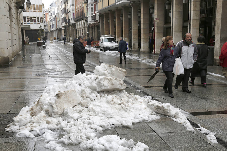 Fotos: La capital palentina se tiñe de blanco II