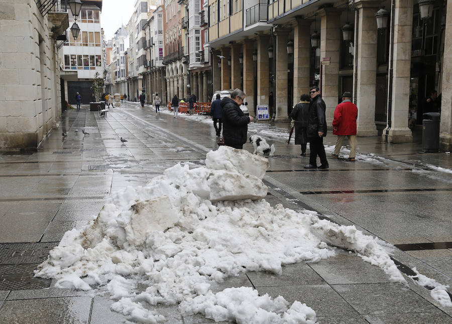 Fotos: La capital palentina se tiñe de blanco II