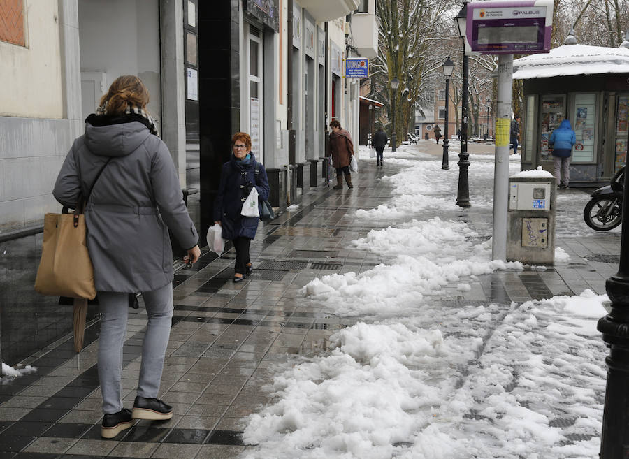 Fotos: La capital palentina se tiñe de blanco II