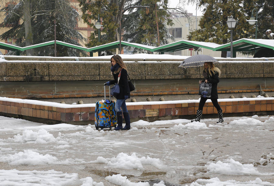 Fotos: La capital palentina se tiñe de blanco II