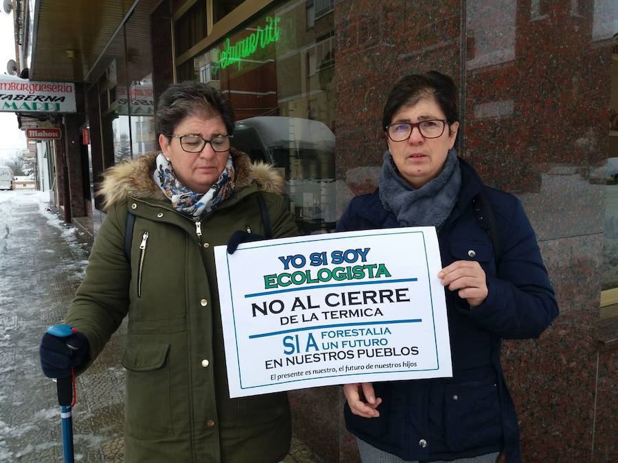 Fotos: Velilla, a favor de la planta de biomasa en Guardo