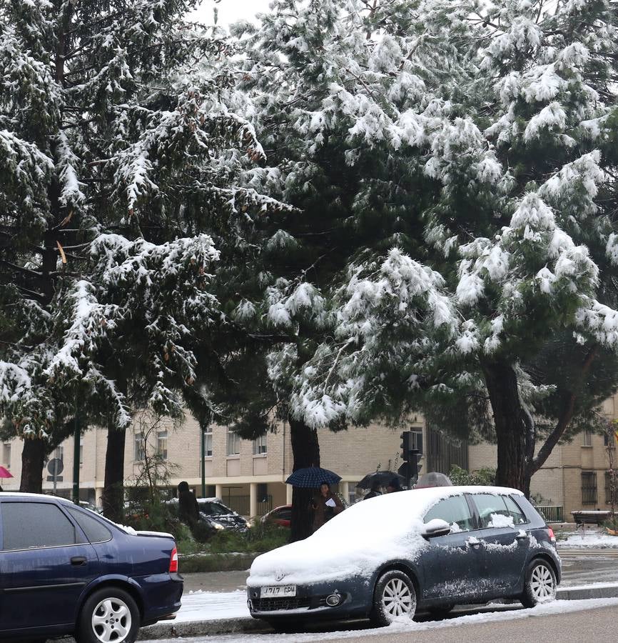 Fotos: Las bellas estampas que la nieve ha dejado en Valladolid