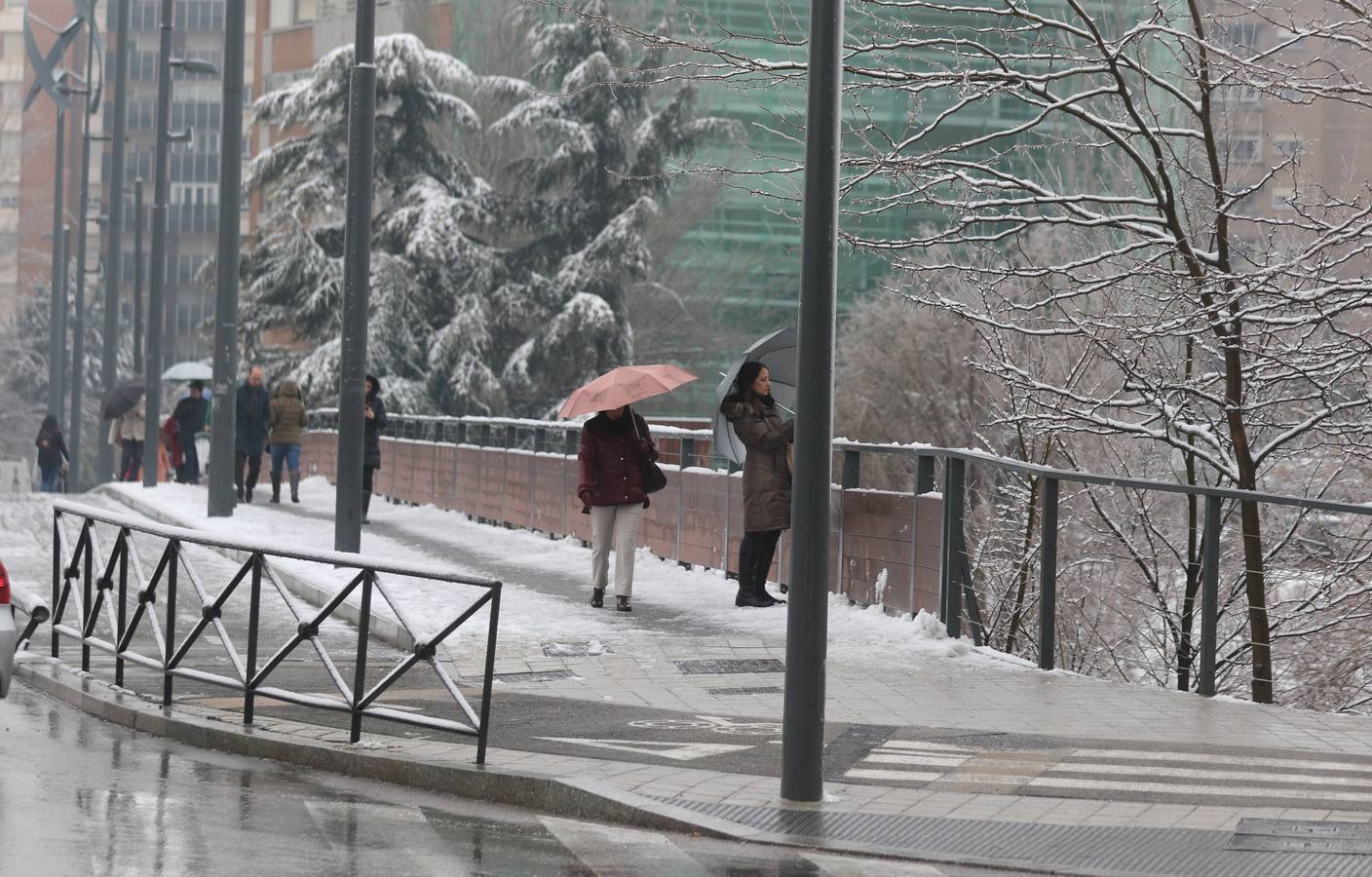 Fotos: Las bellas estampas que la nieve ha dejado en Valladolid