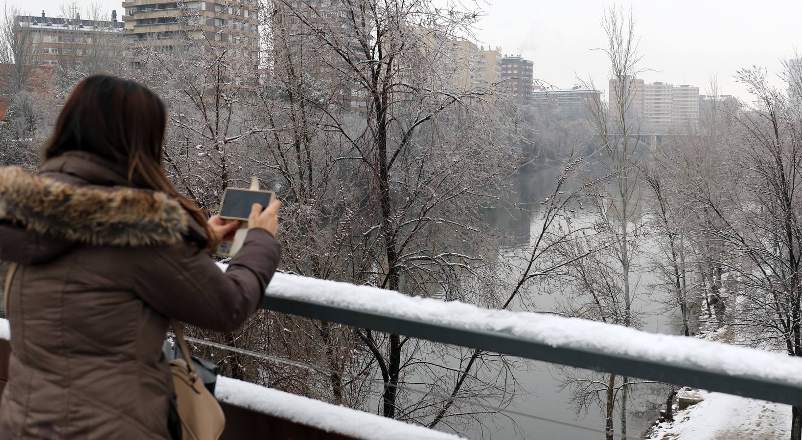 Fotos: Las bellas estampas que la nieve ha dejado en Valladolid