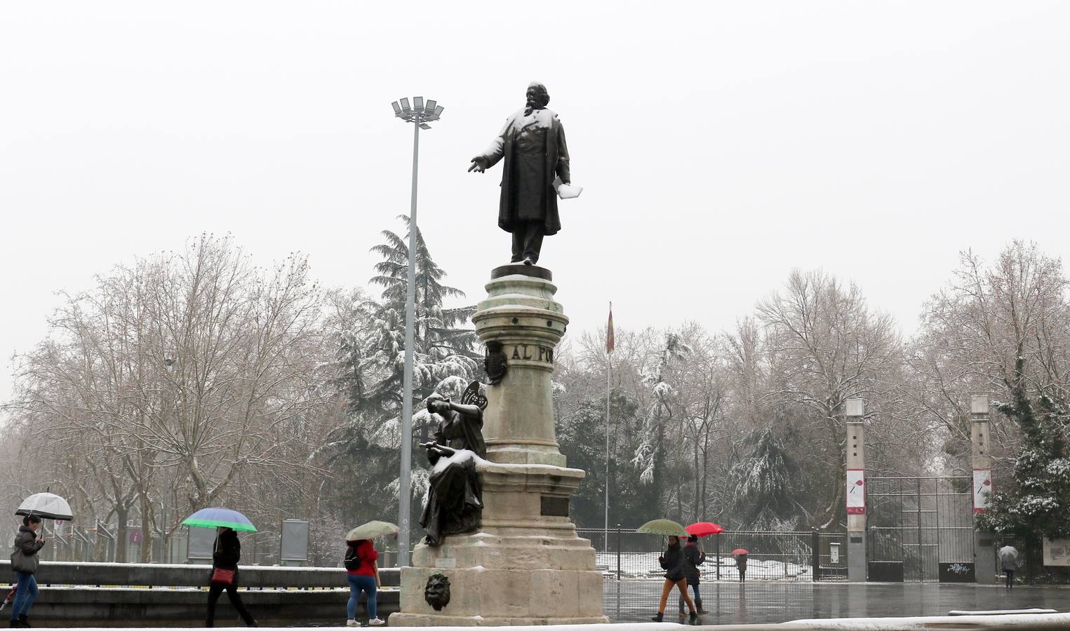Fotos: Las bellas estampas que la nieve ha dejado en Valladolid