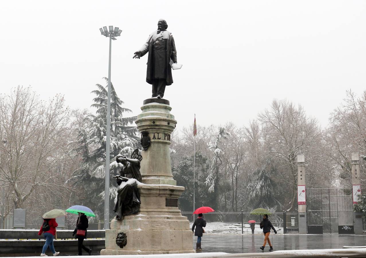Fotos: Las bellas estampas que la nieve ha dejado en Valladolid