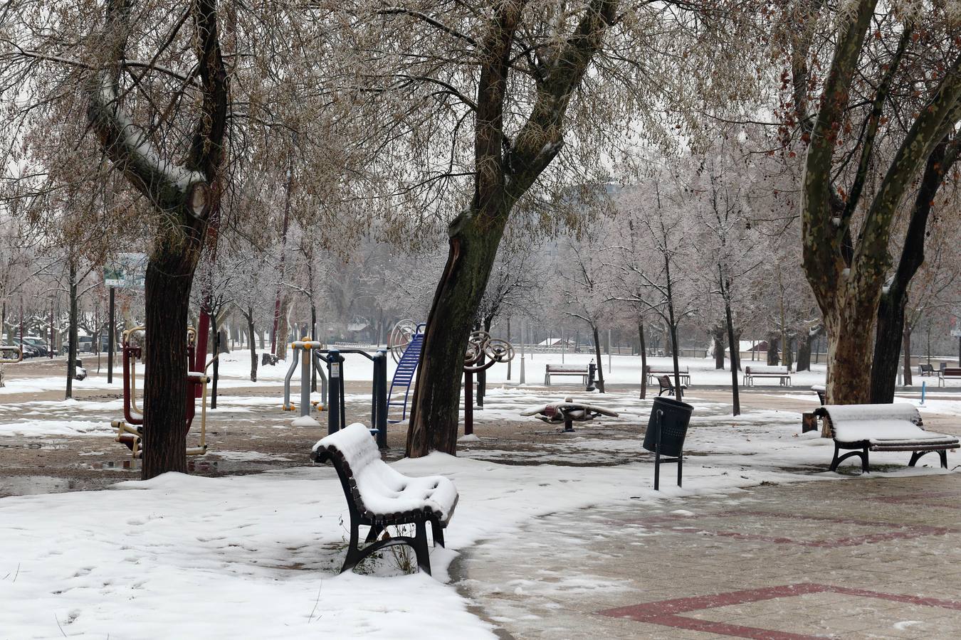 Fotos: Las bellas estampas que la nieve ha dejado en Valladolid