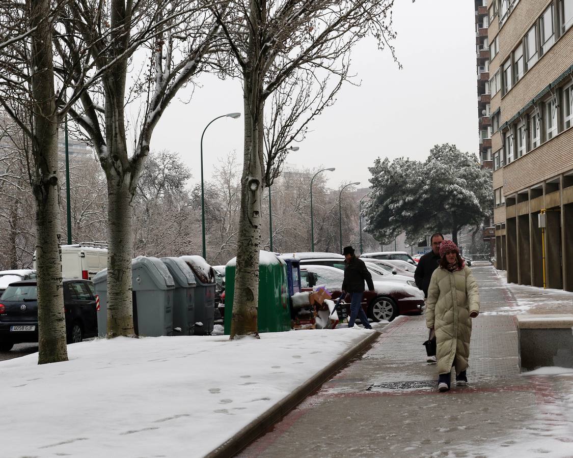 Fotos: Las bellas estampas que la nieve ha dejado en Valladolid