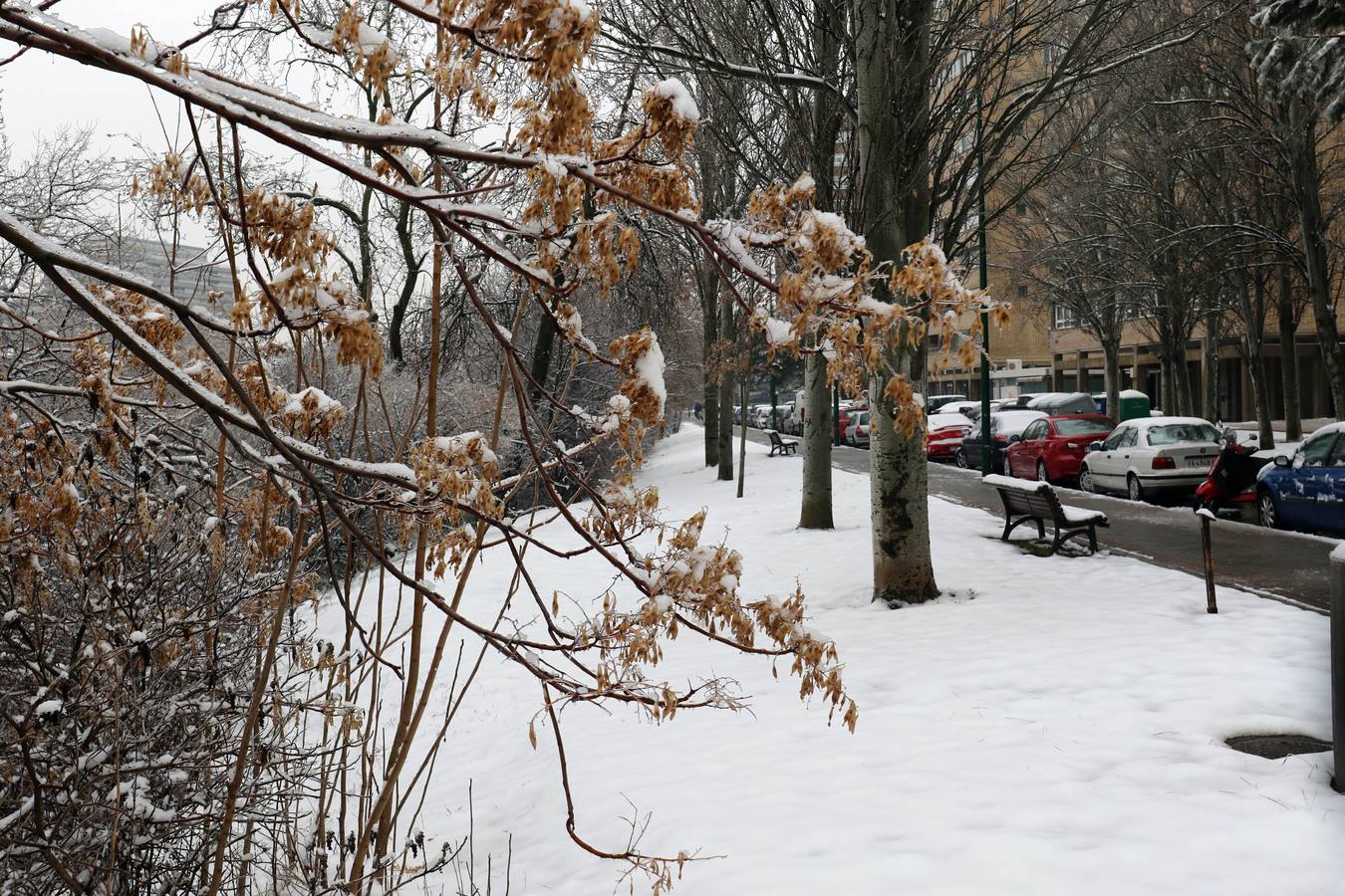 Fotos: Las bellas estampas que la nieve ha dejado en Valladolid