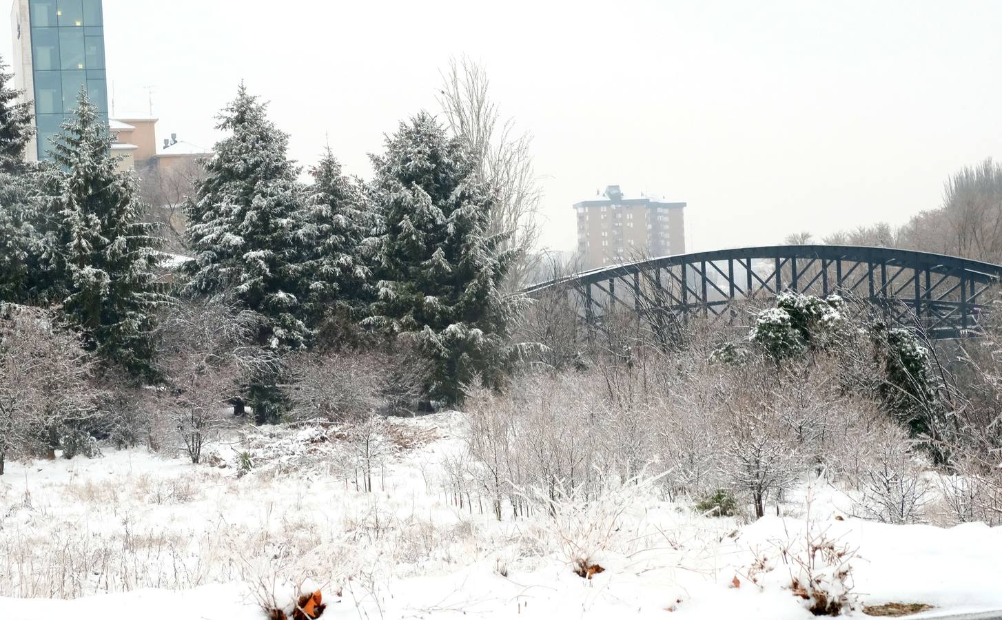 Fotos: Las bellas estampas que la nieve ha dejado en Valladolid