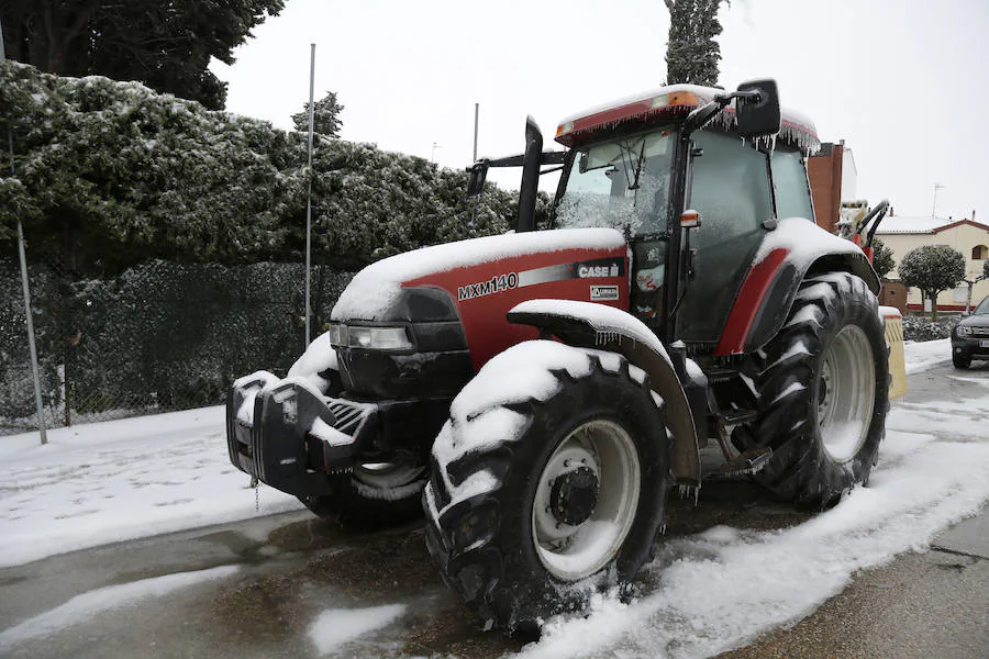 Fotos: Imágenes nevadas en Dueñas