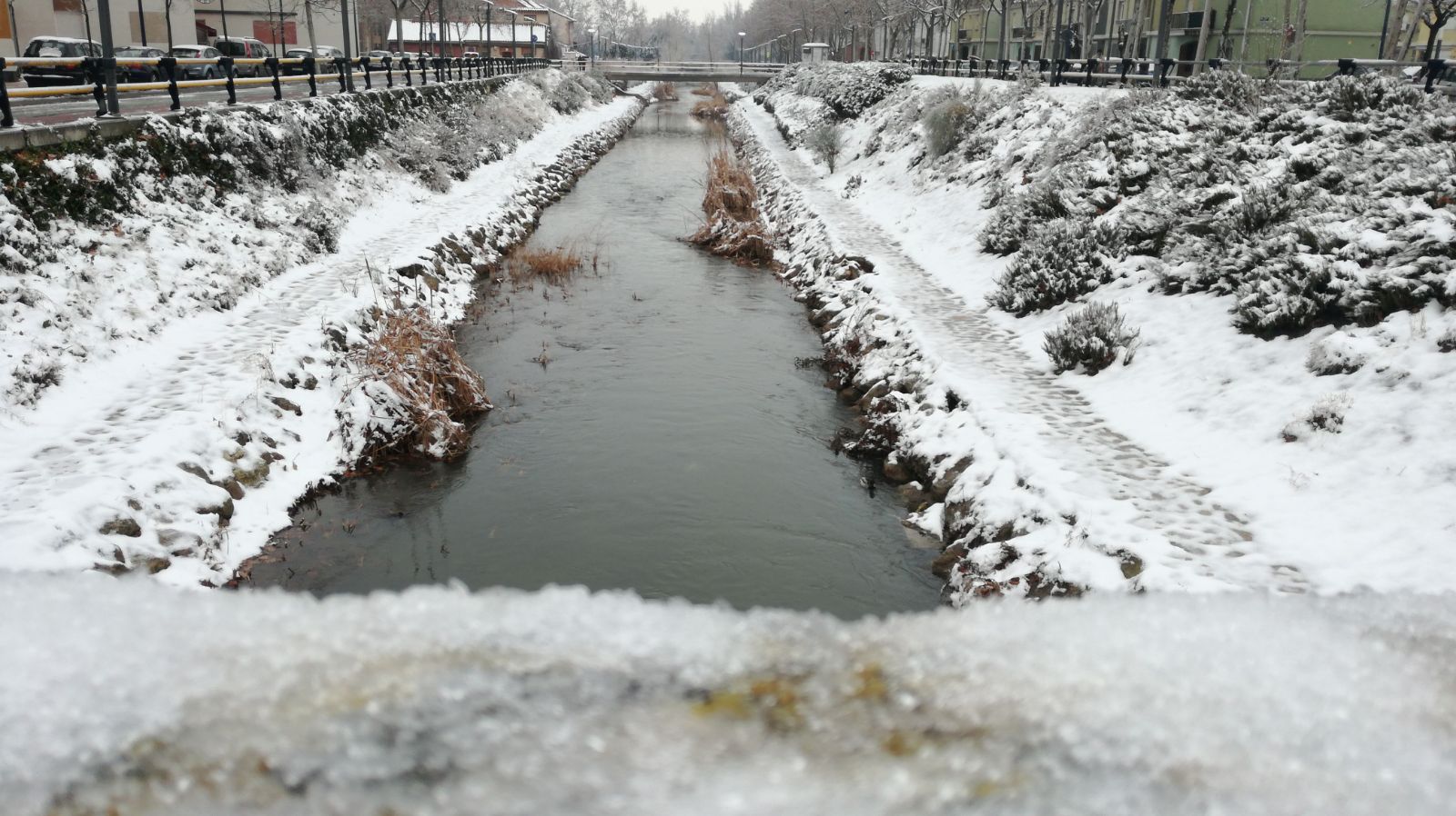 Fotos: Las bellas estampas que la nieve ha dejado en Valladolid