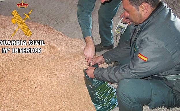 Los agentes, en la inspección de las semillas. 