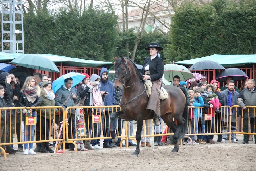 Fotos: Feria del Ángel de Fuentepelayo