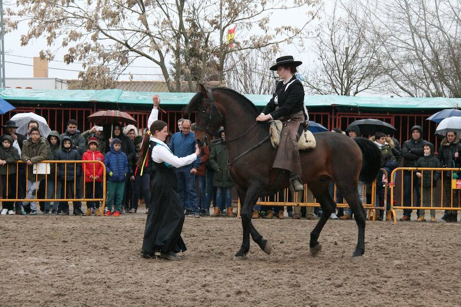 Fotos: Feria del Ángel de Fuentepelayo