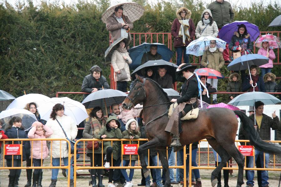 Fotos: Feria del Ángel de Fuentepelayo