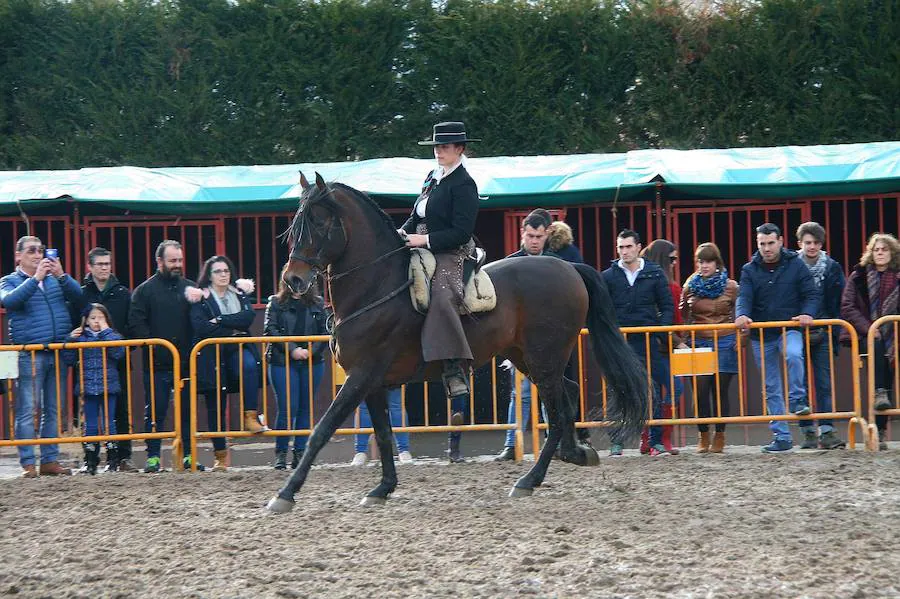 Fotos: Feria de El Ángel de Fuentepelayo, domingo