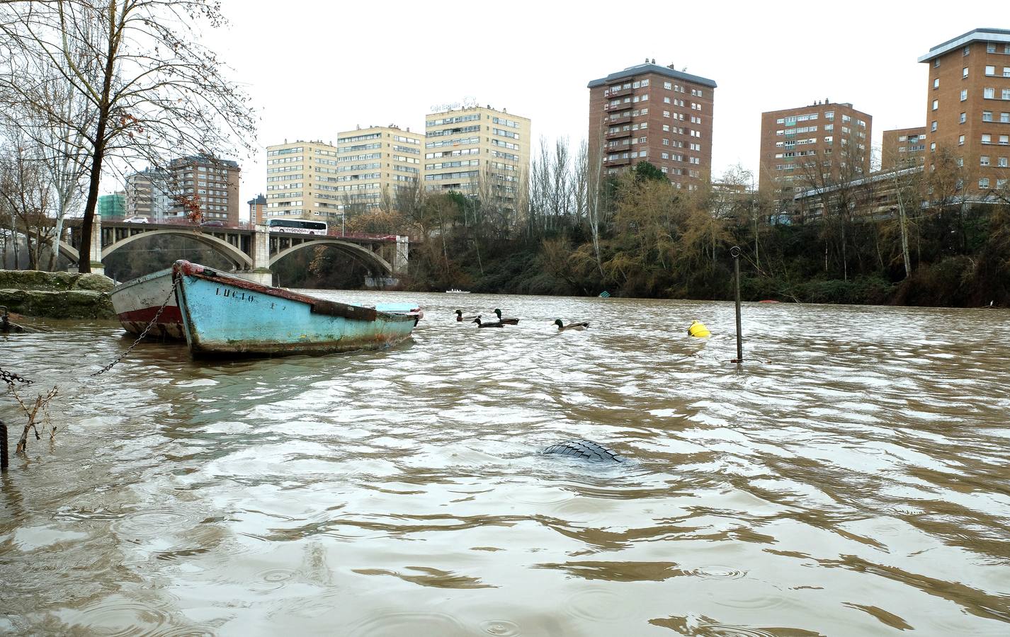 El Pisuerga a su paso por Valladolid.