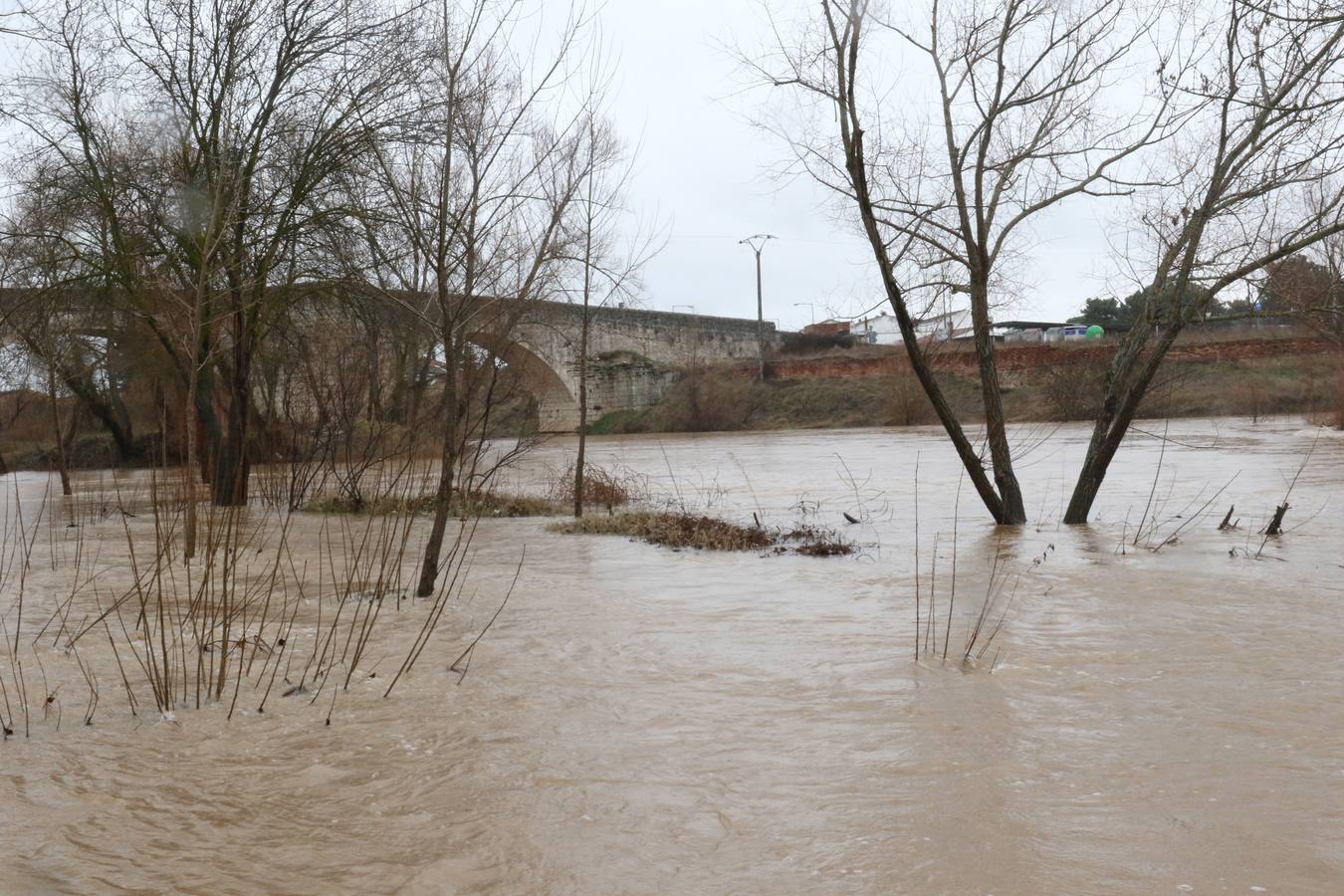 El río a su paso por Puente Duero.