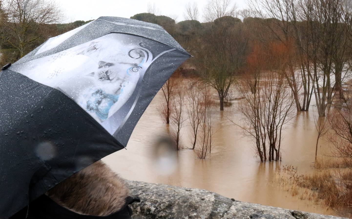 El río a su paso por Puente Duero.