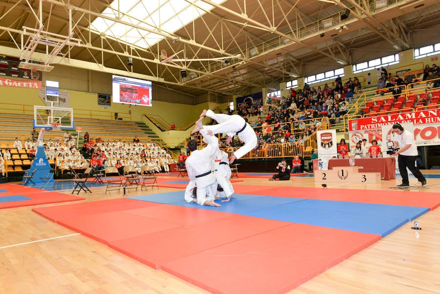 Fotos: Fiesta del judo en Salamanca