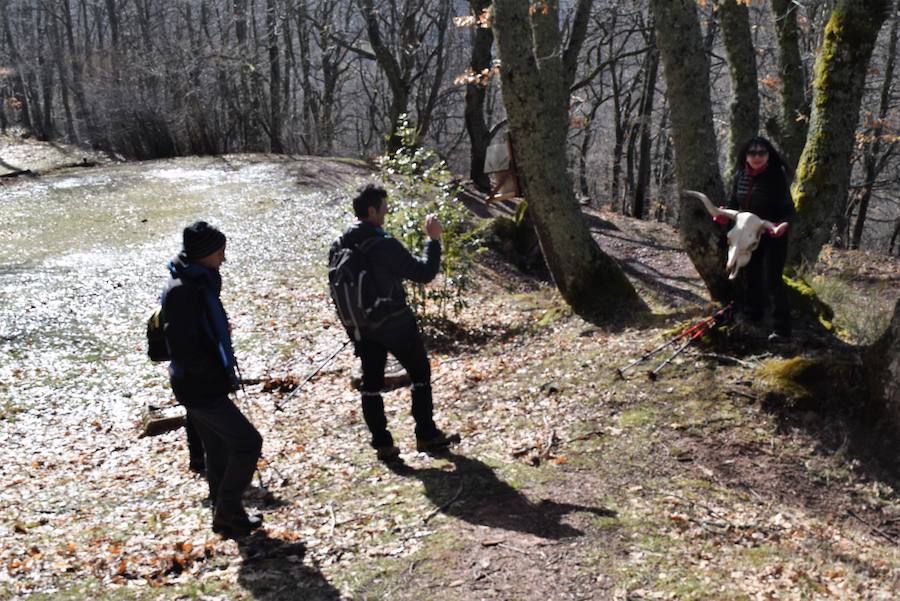 Fotos: Semana de Montaña del club La Escalerilla