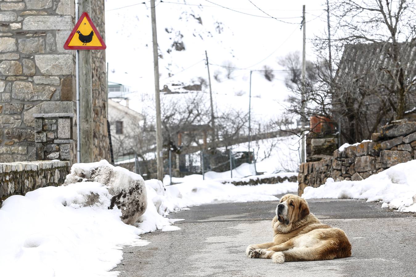 Fotos: Nieve en la localidad leonesa de Torrestío