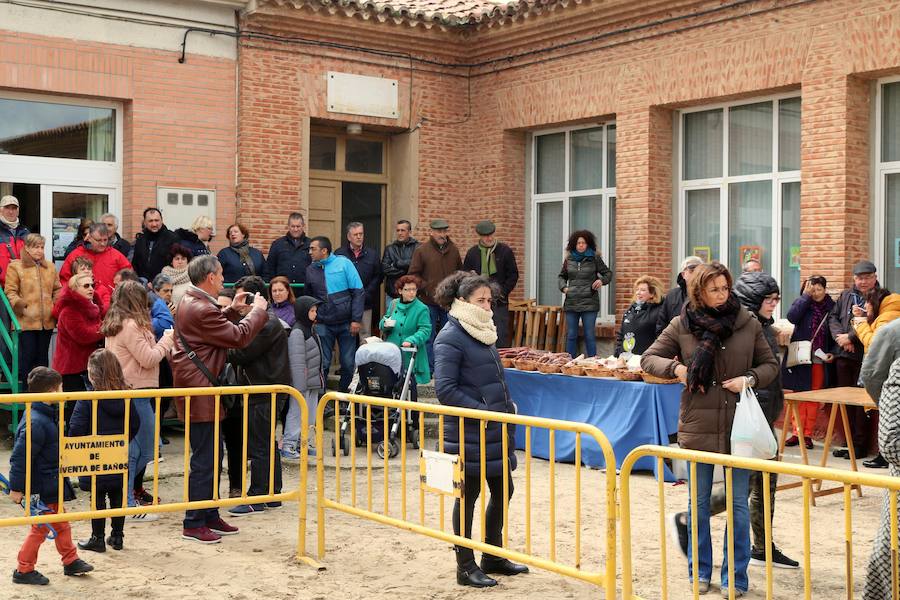 Fotos: Jornada de la matanza del cerdo en Baños de Cerrato