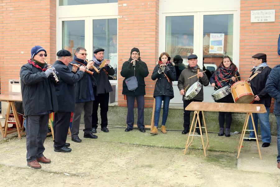 Fotos: Jornada de la matanza del cerdo en Baños de Cerrato