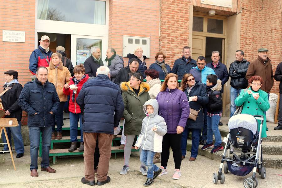 Fotos: Jornada de la matanza del cerdo en Baños de Cerrato