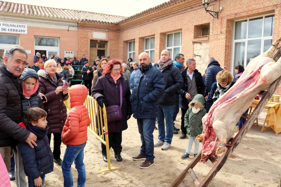 Fotos: Jornada de la matanza del cerdo en Baños de Cerrato