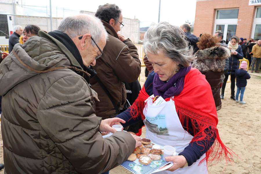 Fotos: Jornada de la matanza del cerdo en Baños de Cerrato