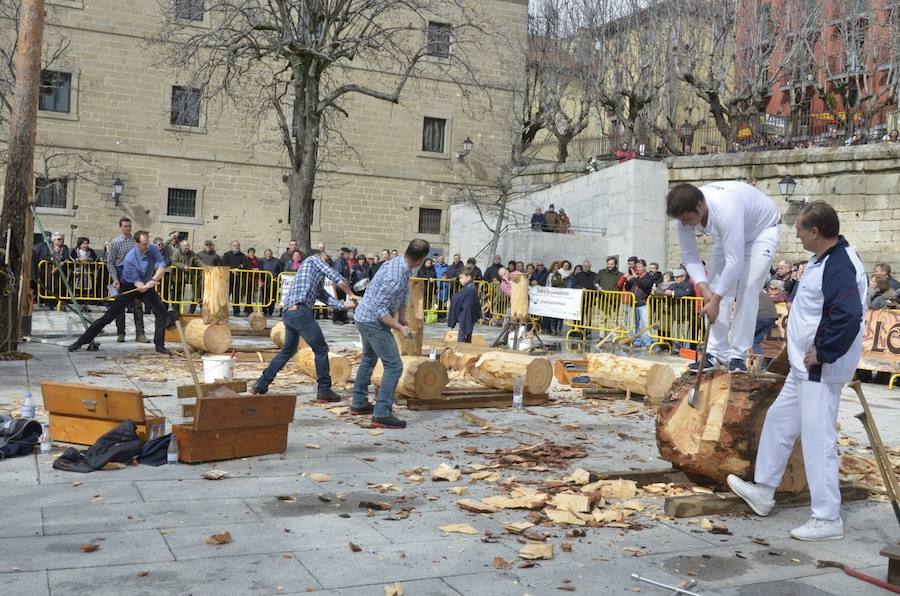 Fotos: Fiesta de los gabarreros 2018