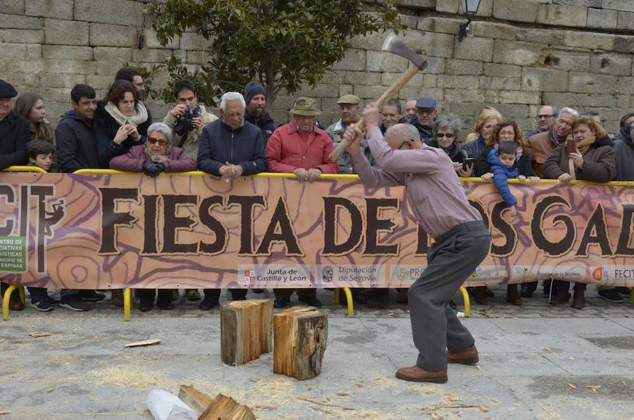 Fotos: Fiesta de los gabarreros 2018