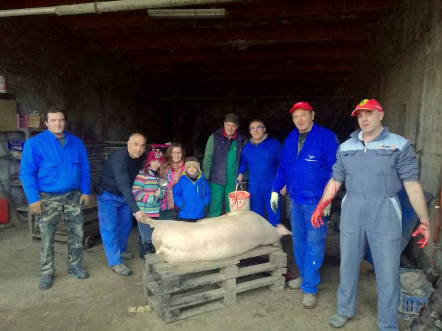 Fotos: Fiesta de la Matanza en Castrillo de Don Juan