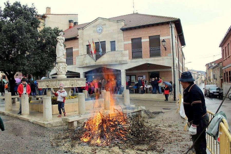 Fotos: Fiesta de la Matanza en Castrillo de Don Juan