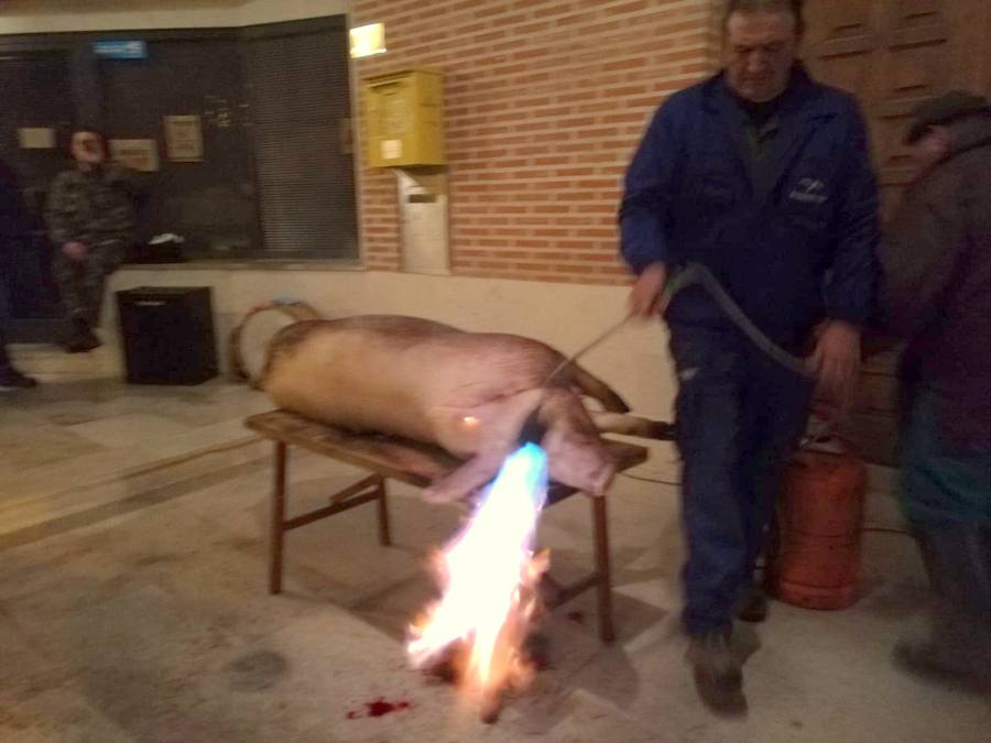 Fotos: Fiesta de la Matanza en Castrillo de Don Juan