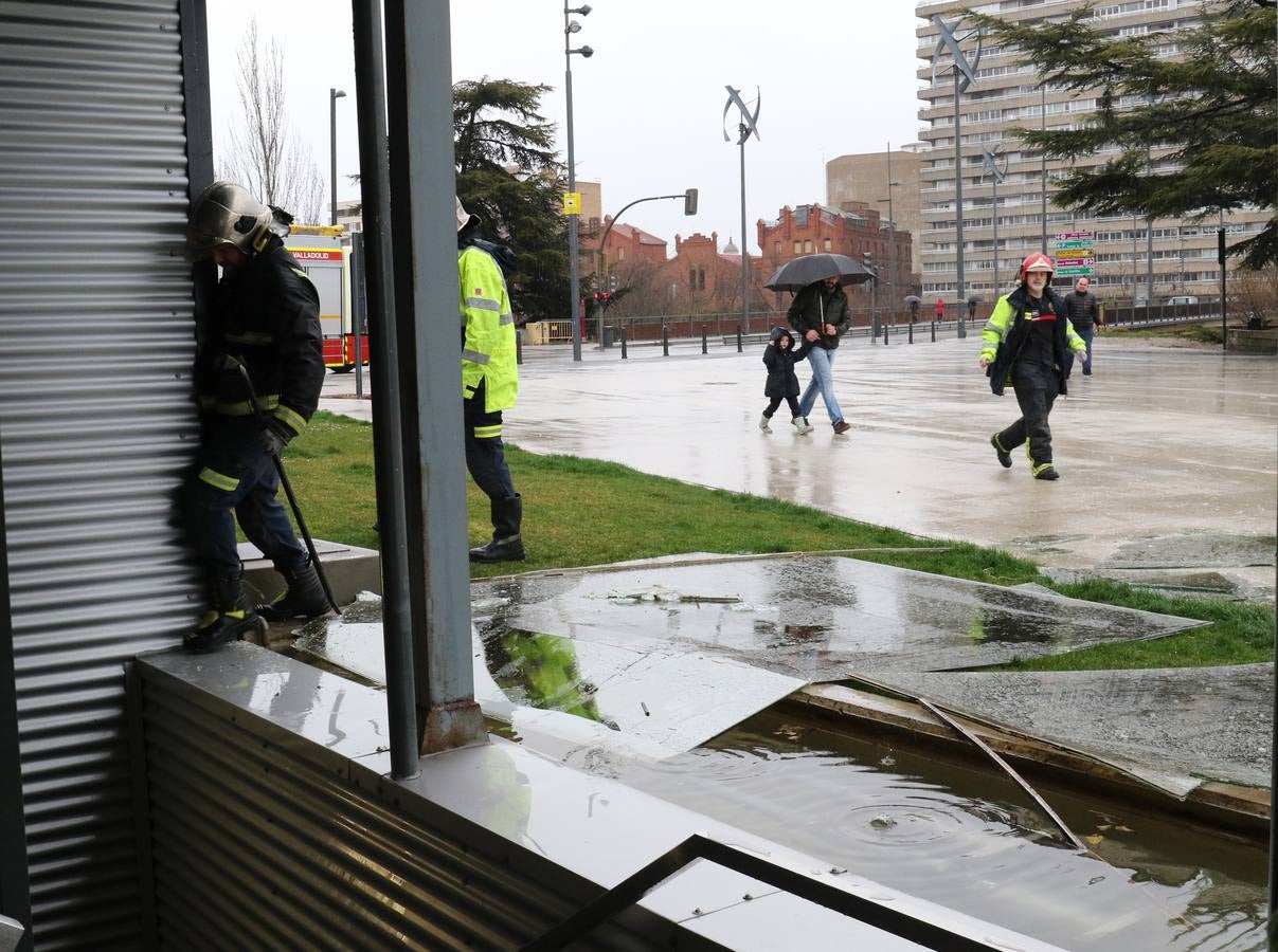 Una persona ha resultado herida en el Paseo de Zorrilla de Valladolid, a la altura del cruce con la Avenida de Zamora, tras ser alcanzado por un árbol en la cabeza