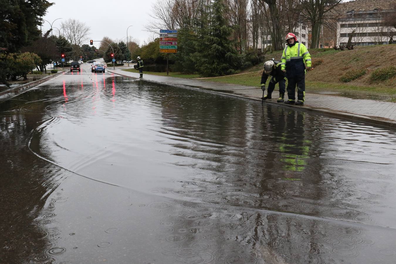 Una persona ha resultado herida en el Paseo de Zorrilla de Valladolid, a la altura del cruce con la Avenida de Zamora, tras ser alcanzado por un árbol en la cabeza