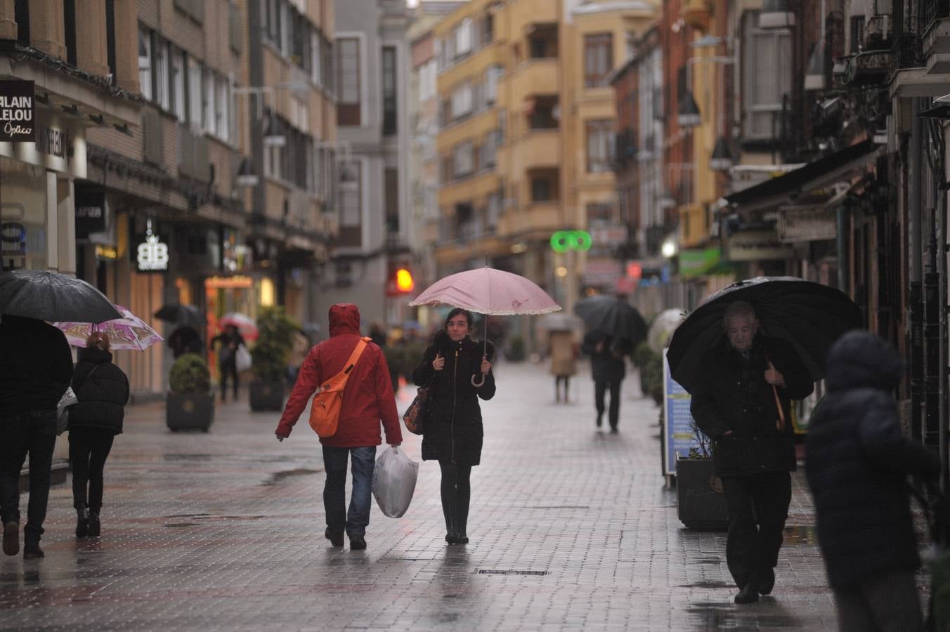 Una persona ha resultado herida en el Paseo de Zorrilla de Valladolid, a la altura del cruce con la Avenida de Zamora, tras ser alcanzado por un árbol en la cabeza
