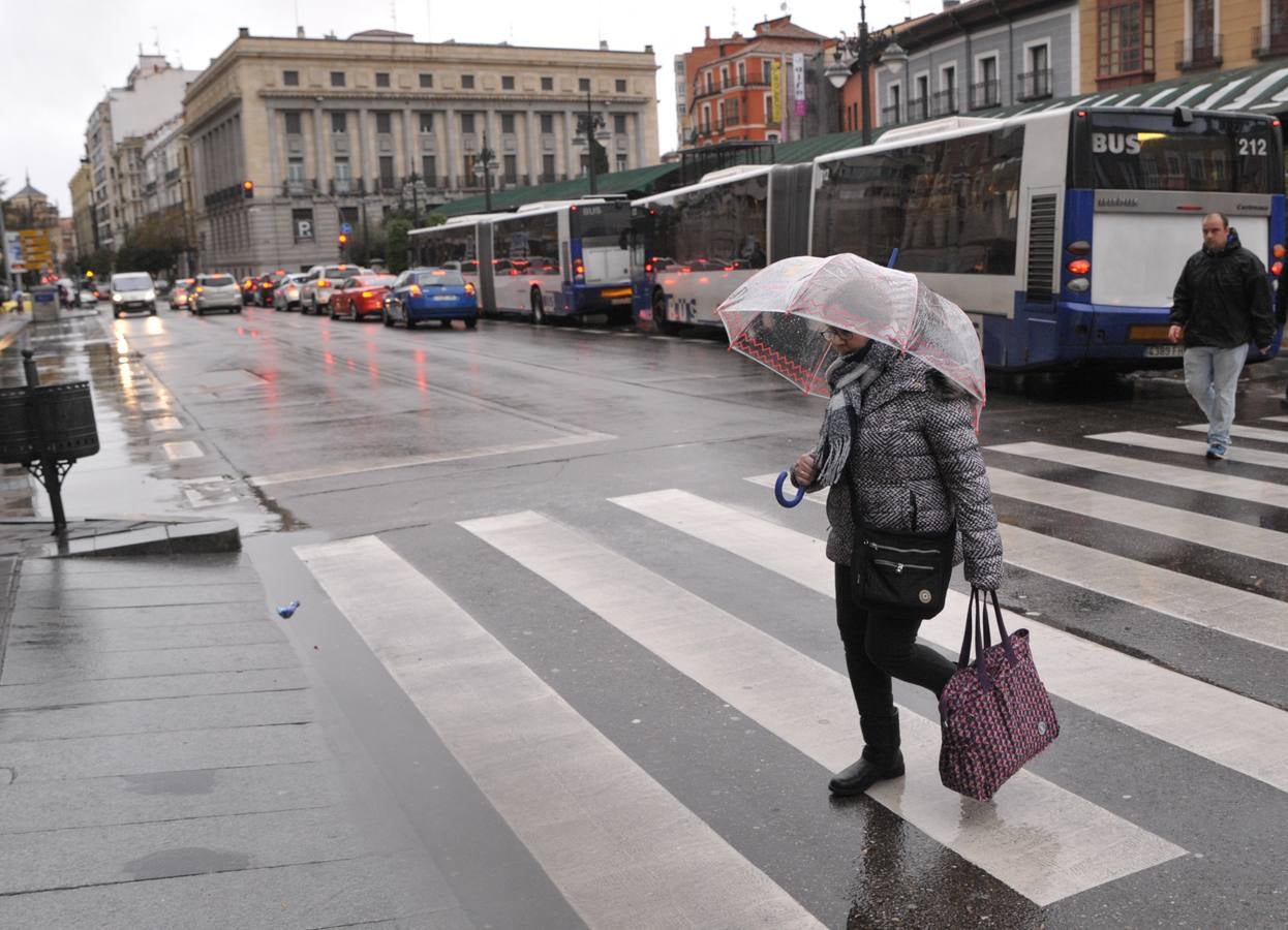 Una persona ha resultado herida en el Paseo de Zorrilla de Valladolid, a la altura del cruce con la Avenida de Zamora, tras ser alcanzado por un árbol en la cabeza