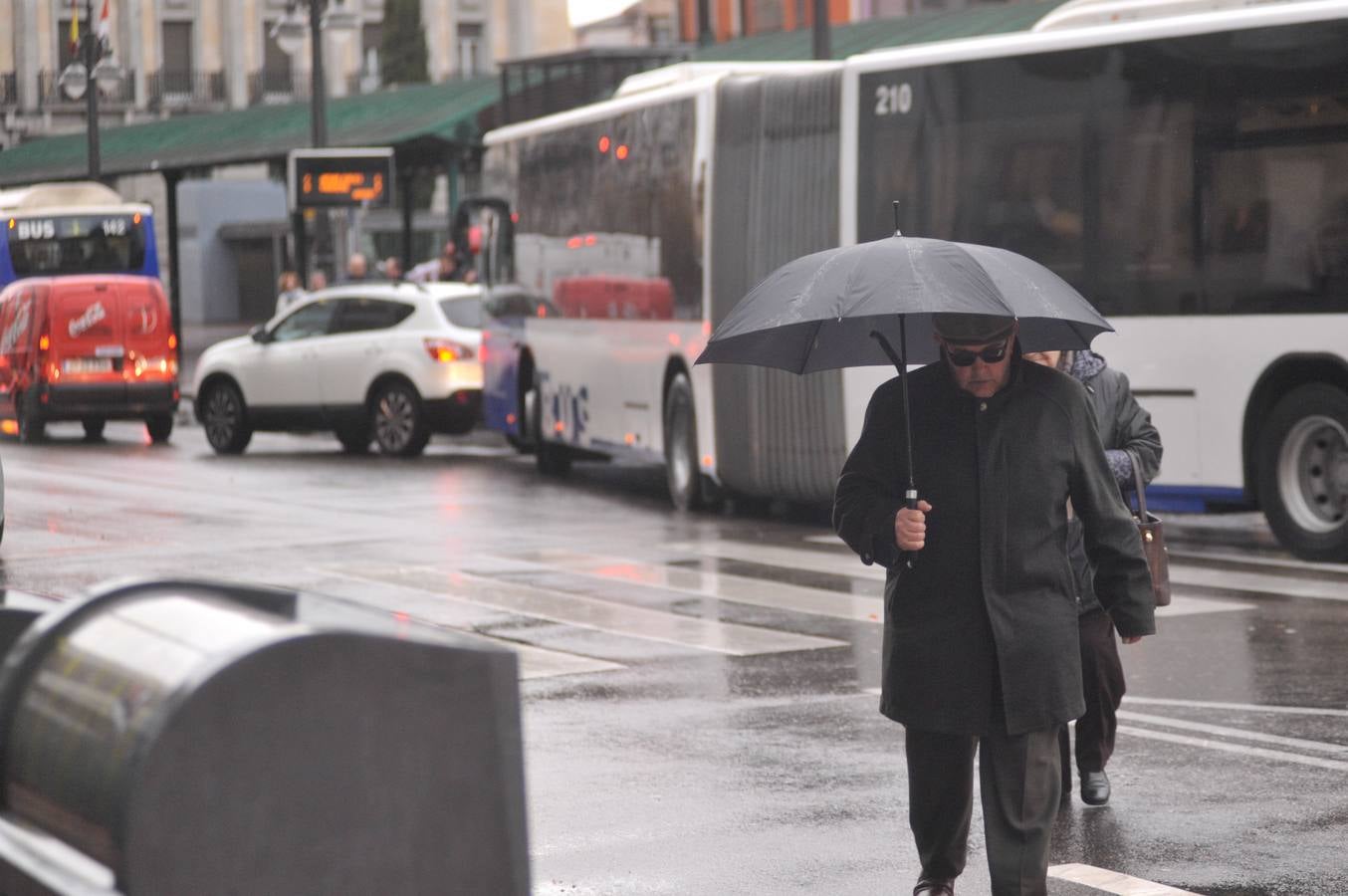 Una persona ha resultado herida en el Paseo de Zorrilla de Valladolid, a la altura del cruce con la Avenida de Zamora, tras ser alcanzado por un árbol en la cabeza