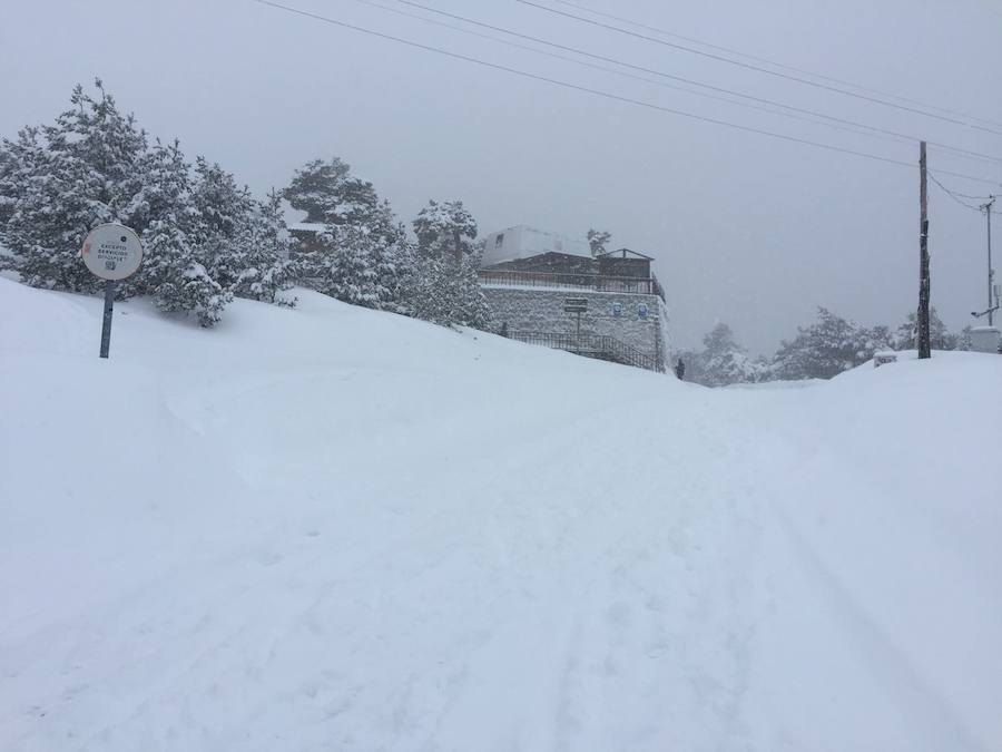 Fotos: Nieve en El Espinar y en el Puerto de Navacerrada