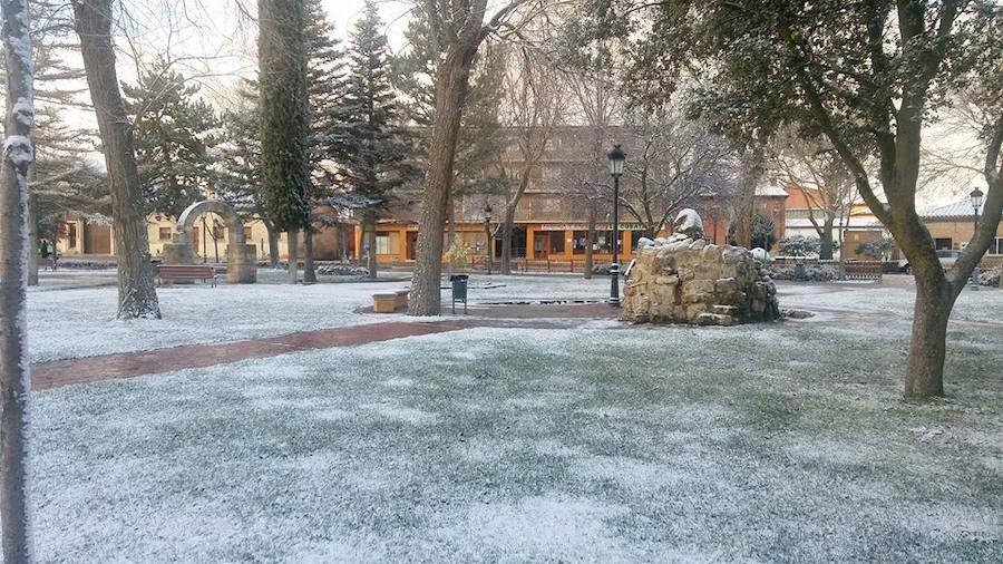 Fotos: La nieve tiñe de blanco el Cerrato palentino