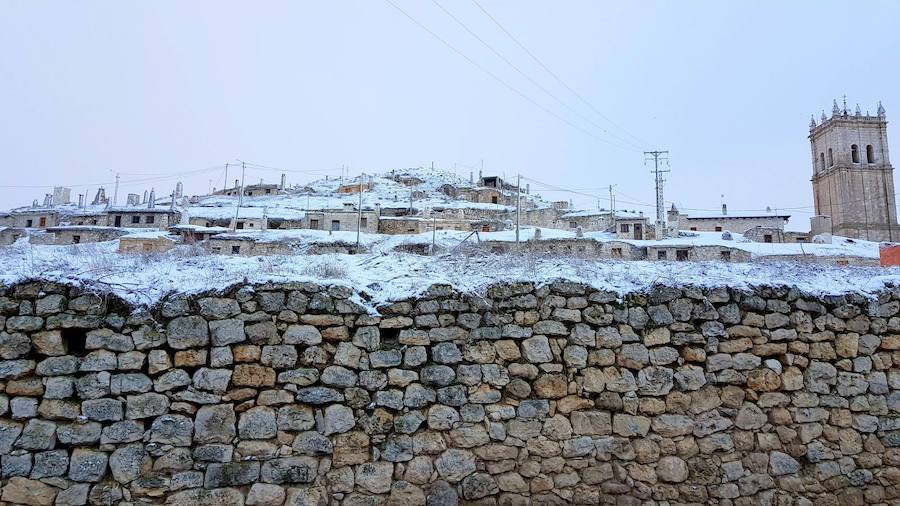 Fotos: La nieve tiñe de blanco el Cerrato palentino