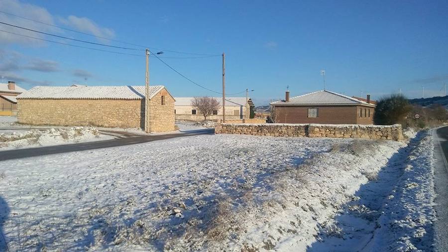 Fotos: La nieve tiñe de blanco el Cerrato palentino